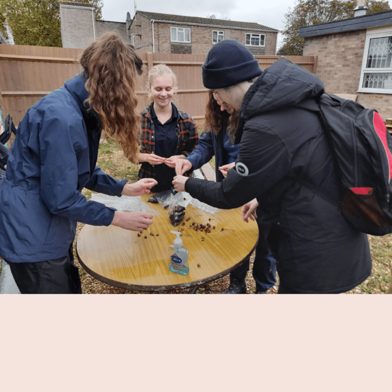 People sorting seeds