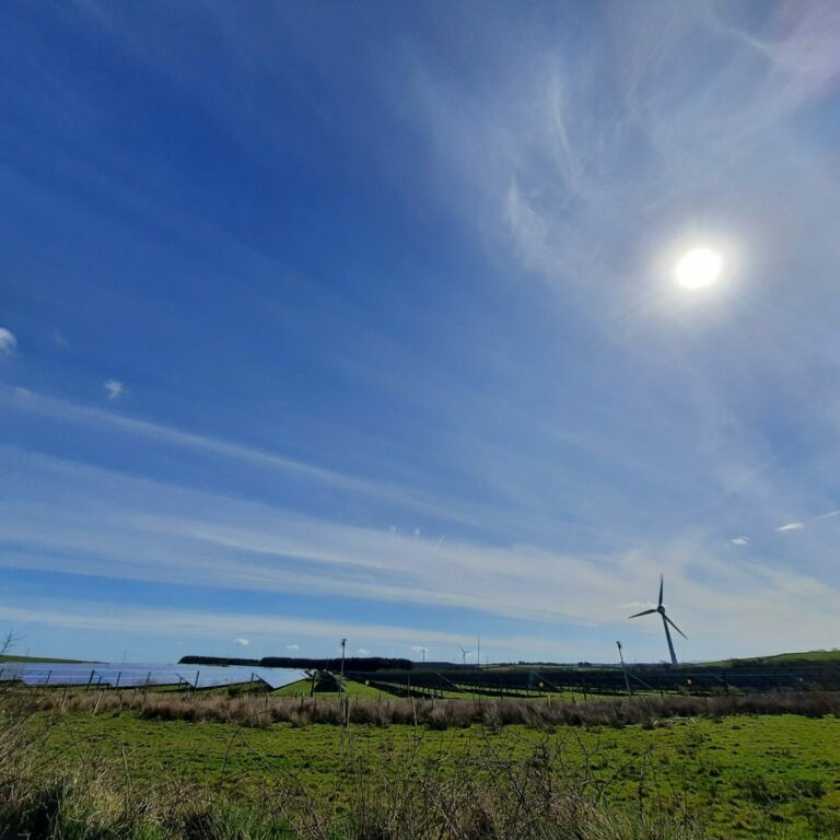 Photo of a solar wind farm
