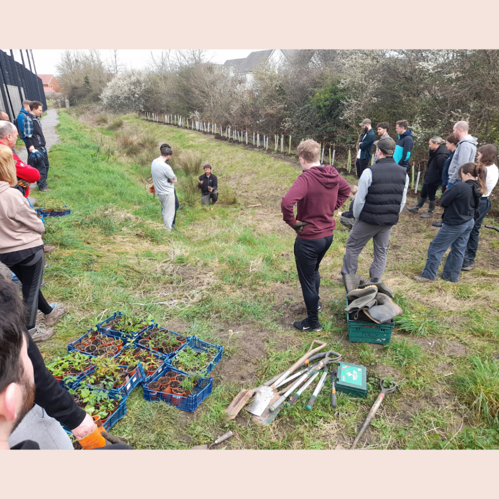 The community climate action happening across the city - Bristol ...