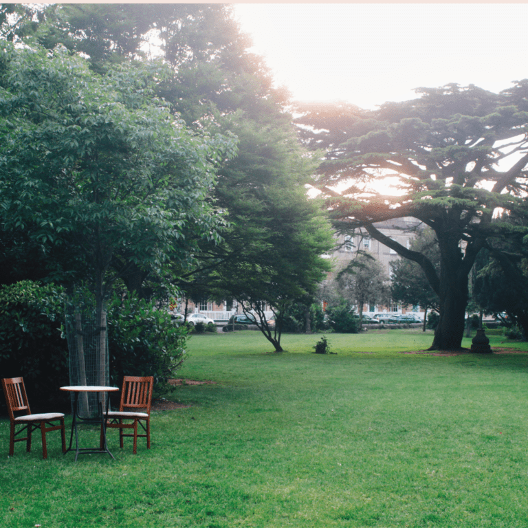 Two empty chairs in a Bristol park