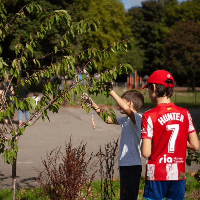 Two children looking at a tree