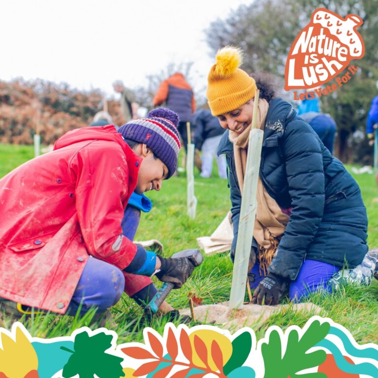 Two people planting trees