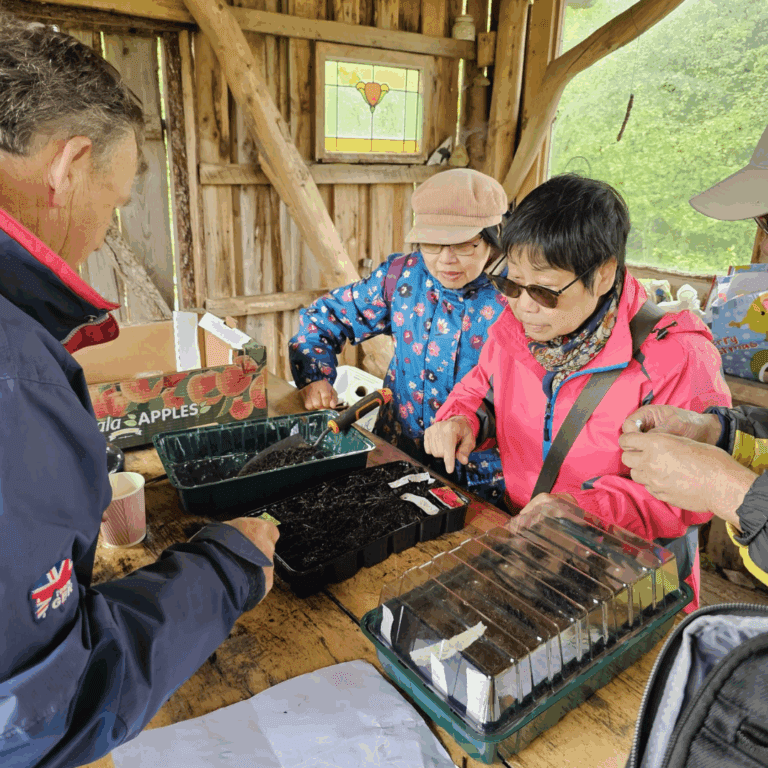 People planting seeds