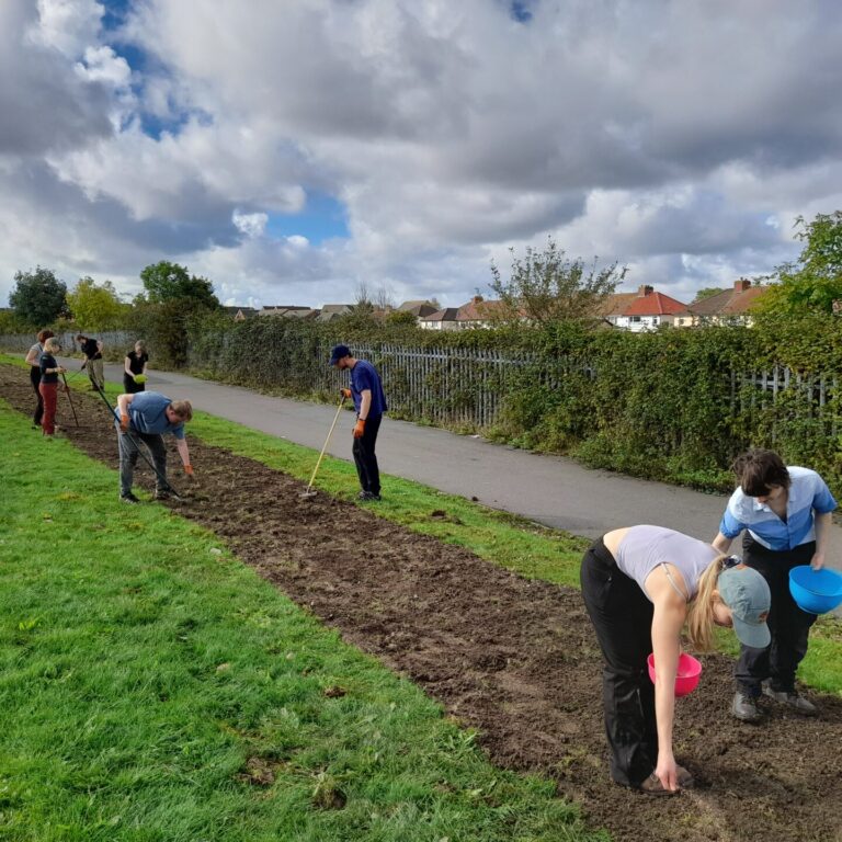 People planting along a strip of mud