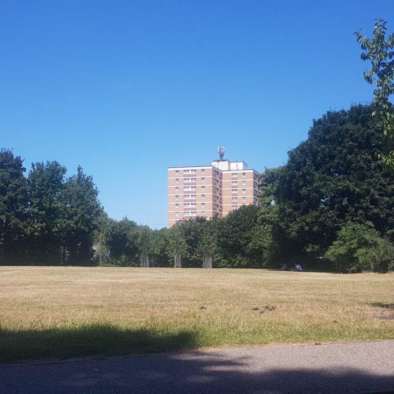 Dry grass with trees and water tower in the background