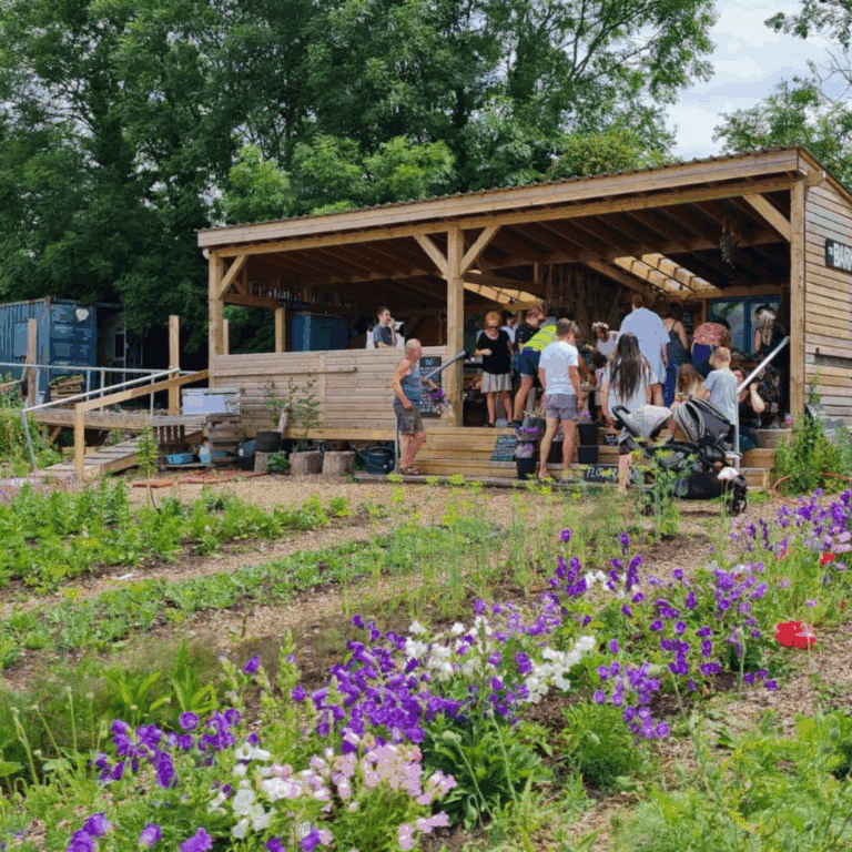 Hartcliffe flower farm