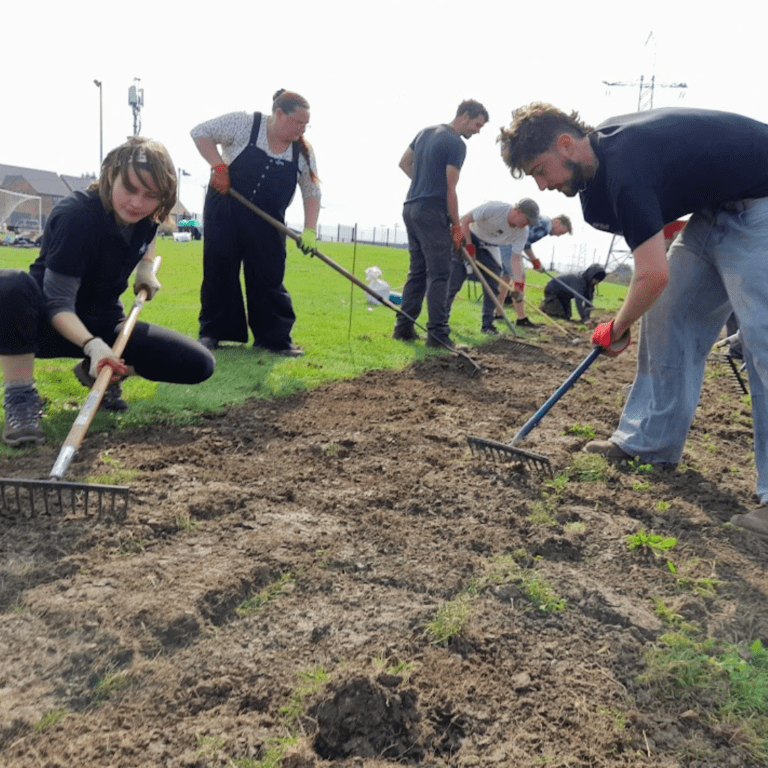 Group of people raking a field to prepare the ground for planting a wildflower meadow