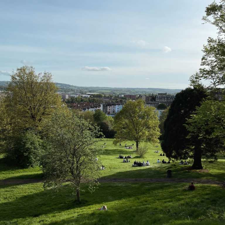 Foreground shows a green park on top of a hill with grass and trees. In the background is view of a city landscape and blue sky.