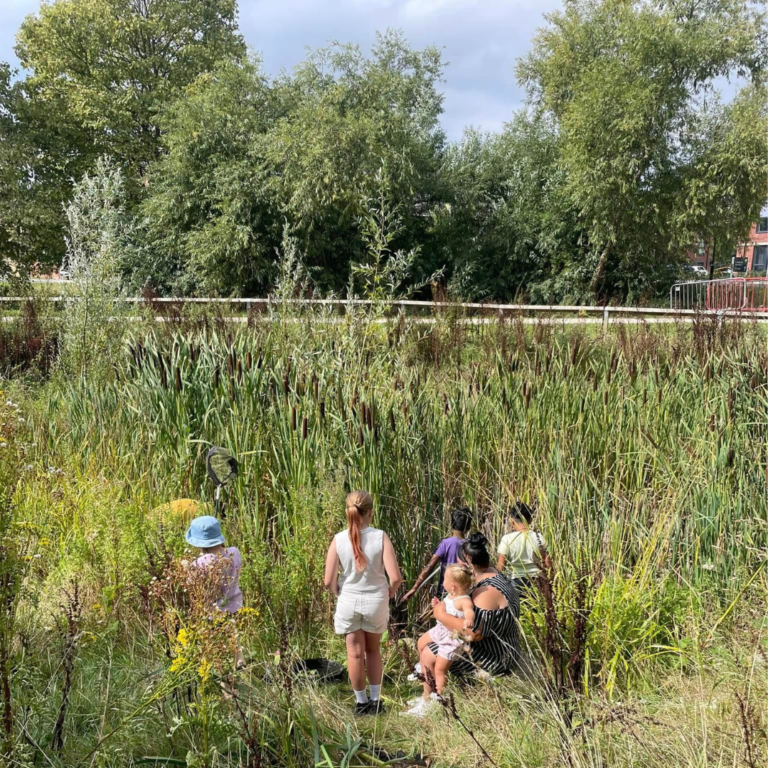 A parent and group of small children next to a pond with reeds. The weather is sunny.