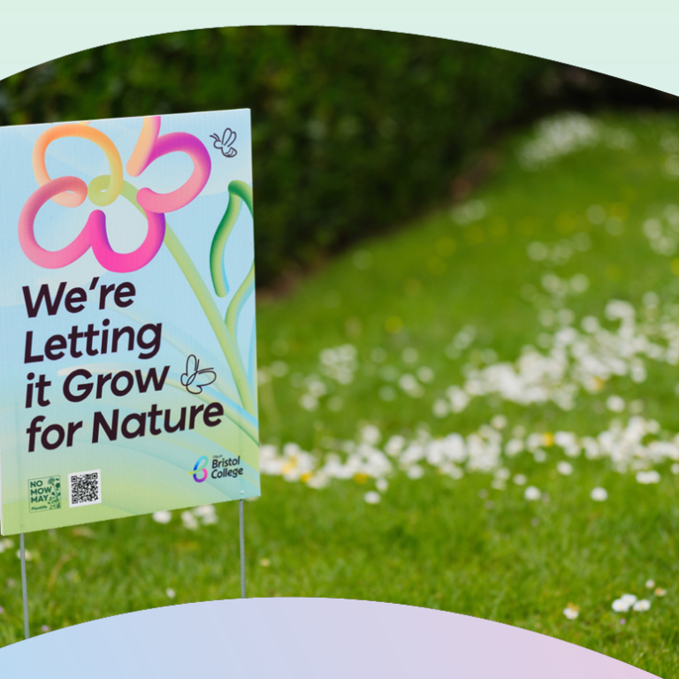 Poster on grass with the text reading 